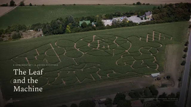 Aerial view of a corn maze behind the title The Leaf and the Machine